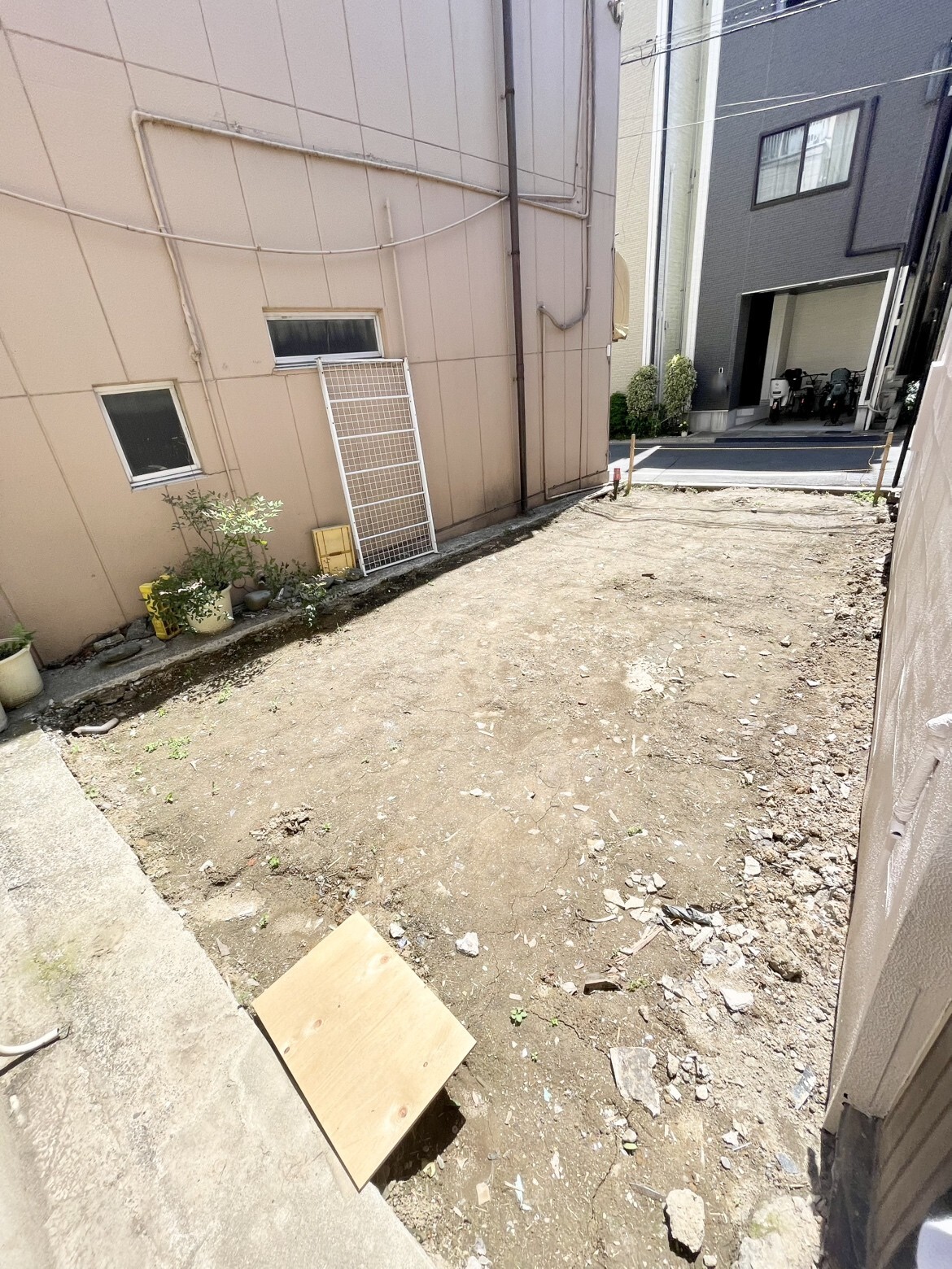 現地写真