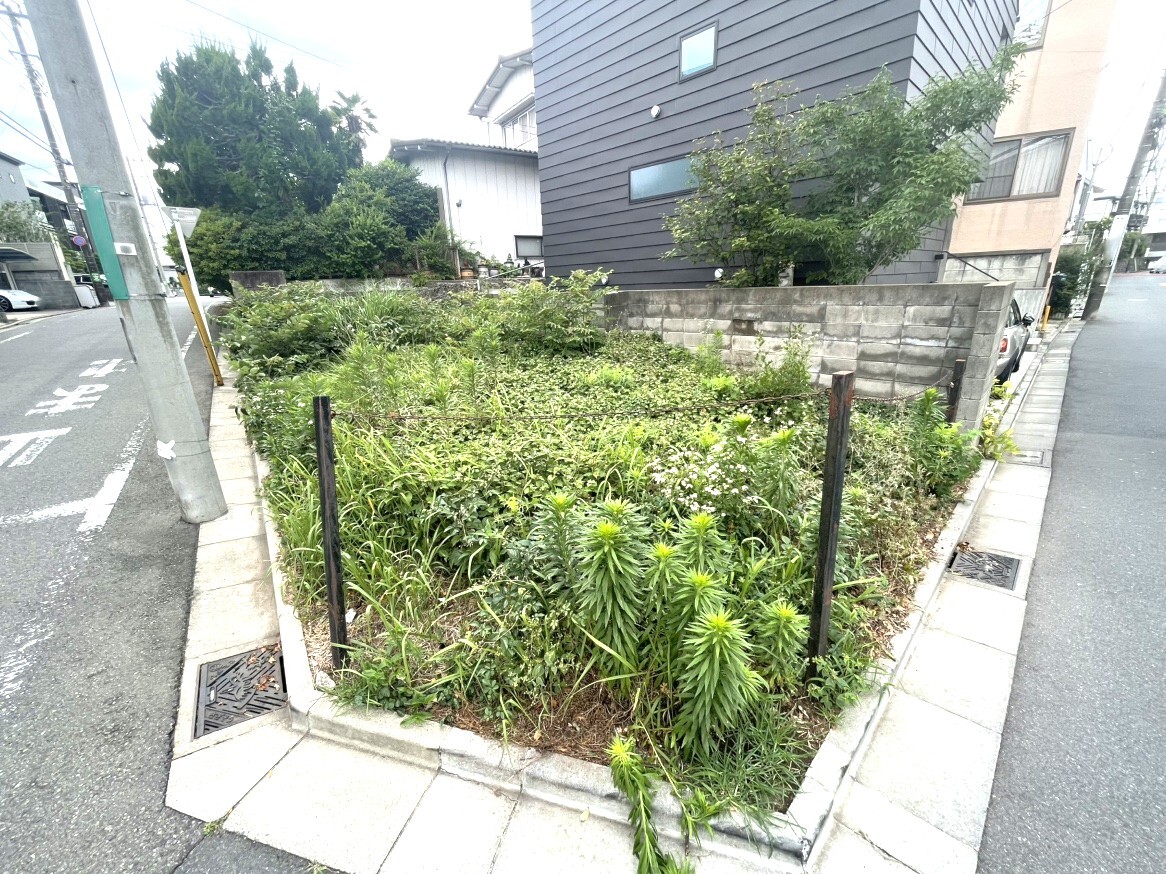 現地写真