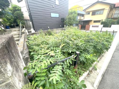 現地写真