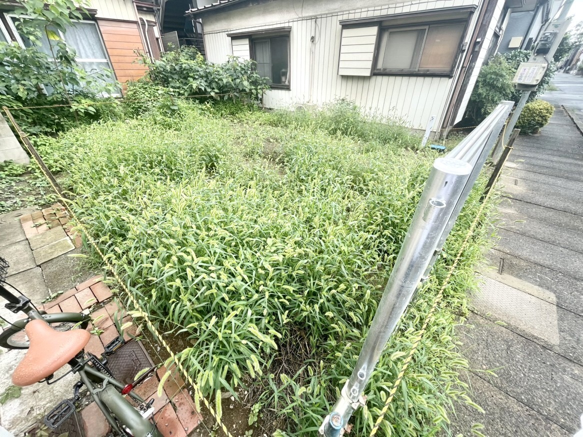 現地写真