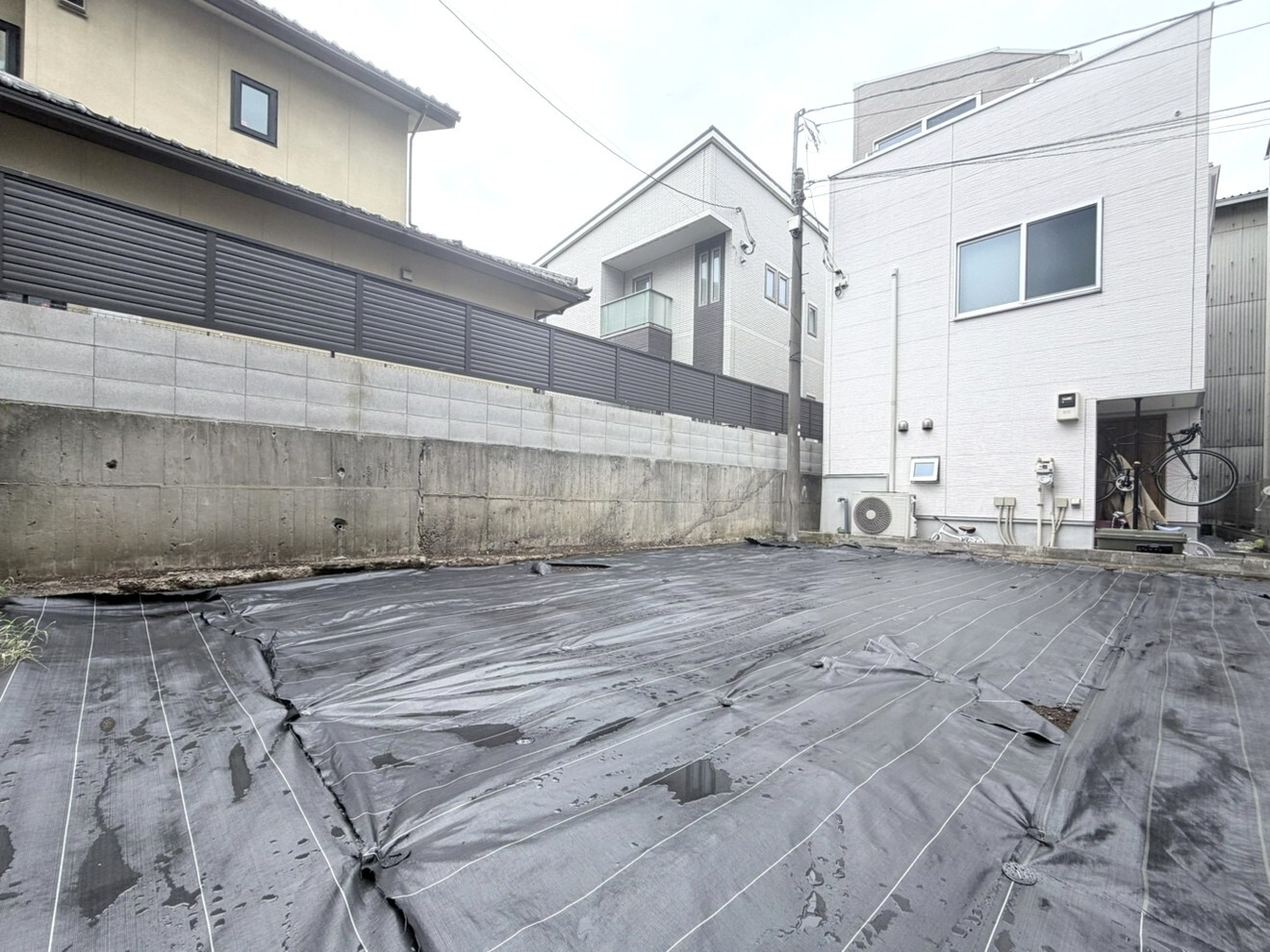 現地写真