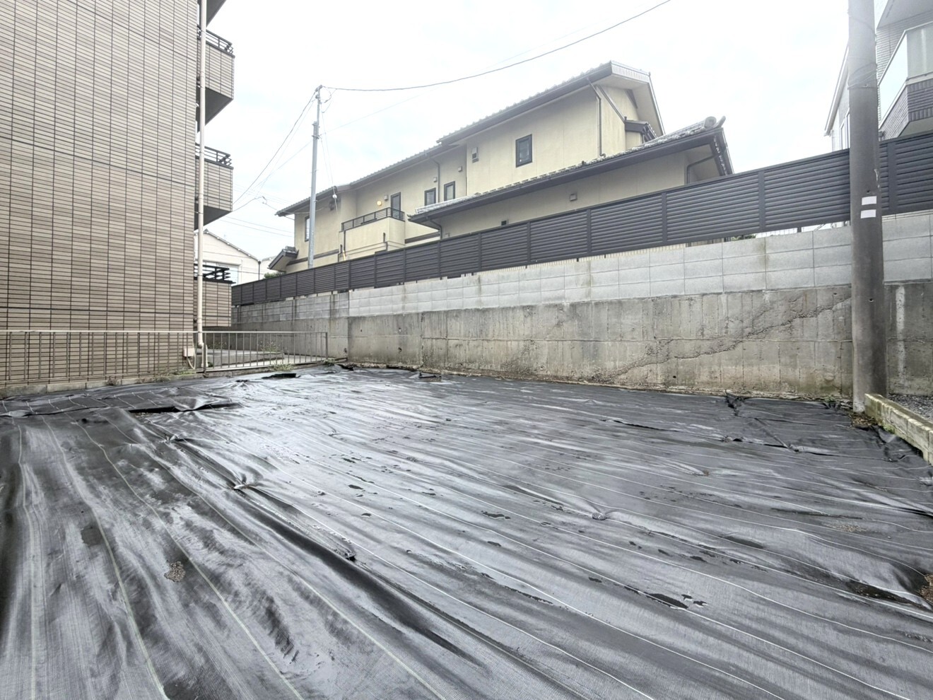 現地写真