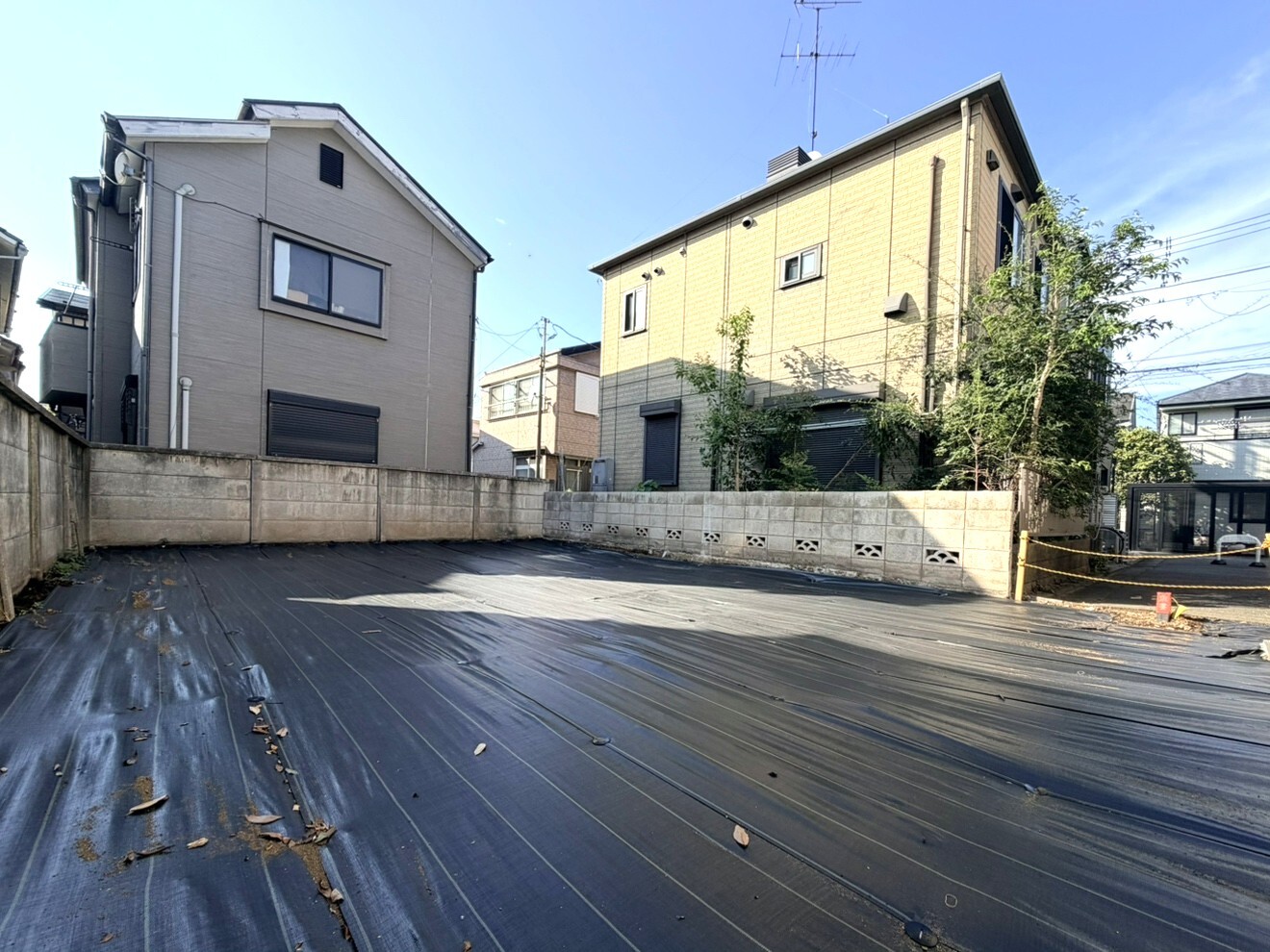 現地写真