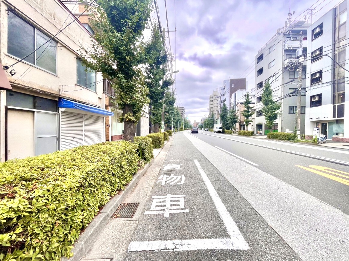 現地写真
